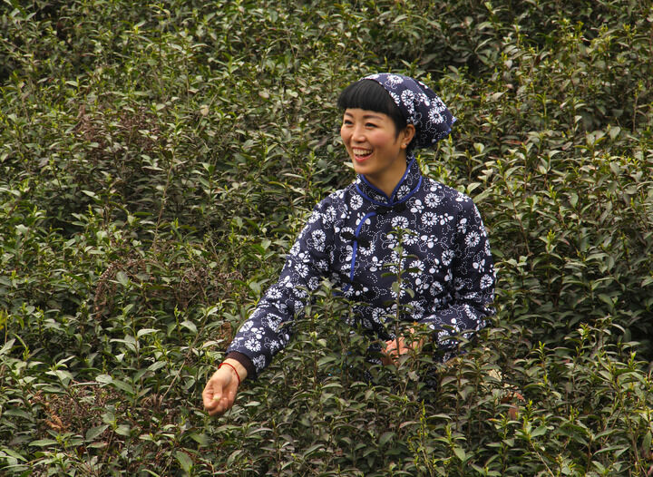 伊人app直播秀旧版本 动漫